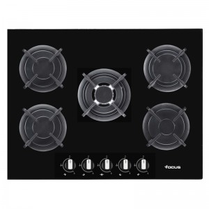 Plaque de cuisson  F417B FOCUS