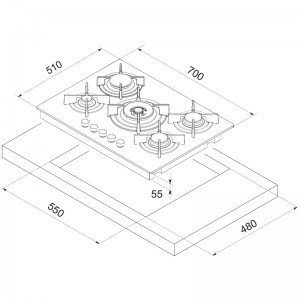 Plaque de cuisson  F417B FOCUS