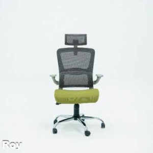 Chaise Directeur Roy Avec Accoudoirs -Gris/Vert
