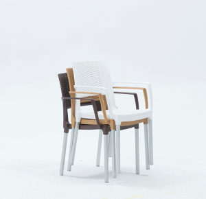 Chaise ROTIN