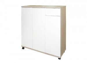Porte chaussure CLASSIQUE 3p+1t